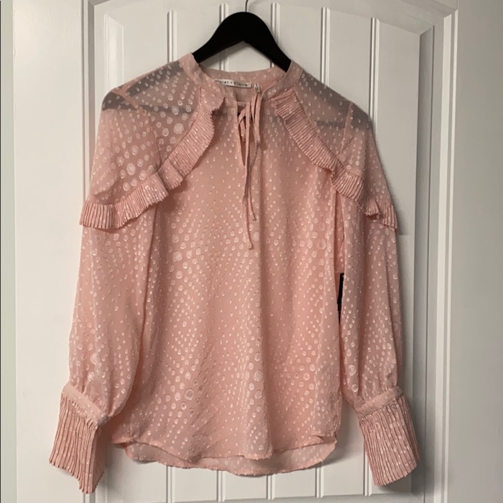 Semi-Sheer Ruffled Blouse